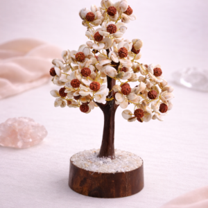 Gomati Chakra Rudraksh Tree